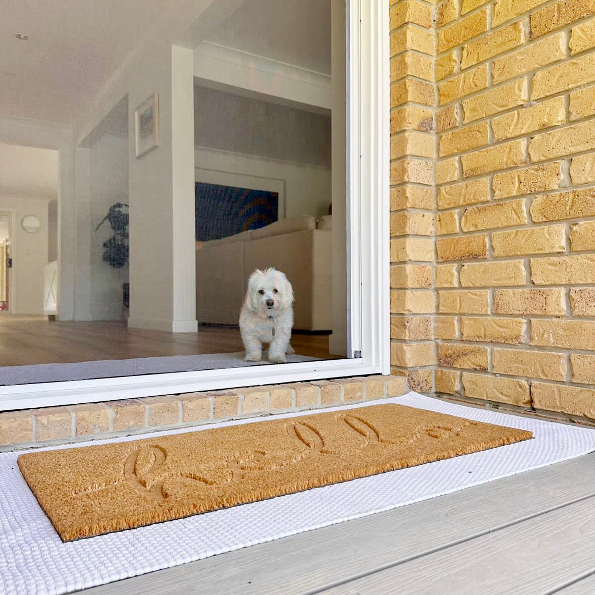 Single Door Retractable Fly Screen